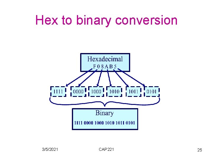 Hex to binary conversion 3/5/2021 CAP 221 25 