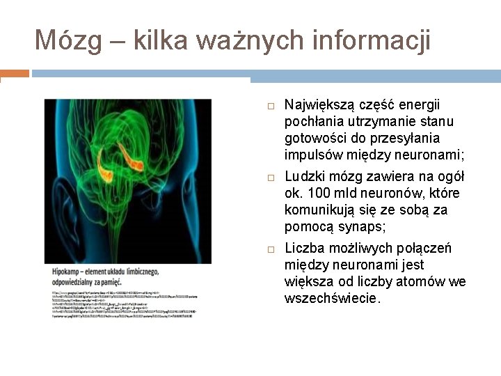 Mózg – kilka ważnych informacji Największą część energii pochłania utrzymanie stanu gotowości do przesyłania