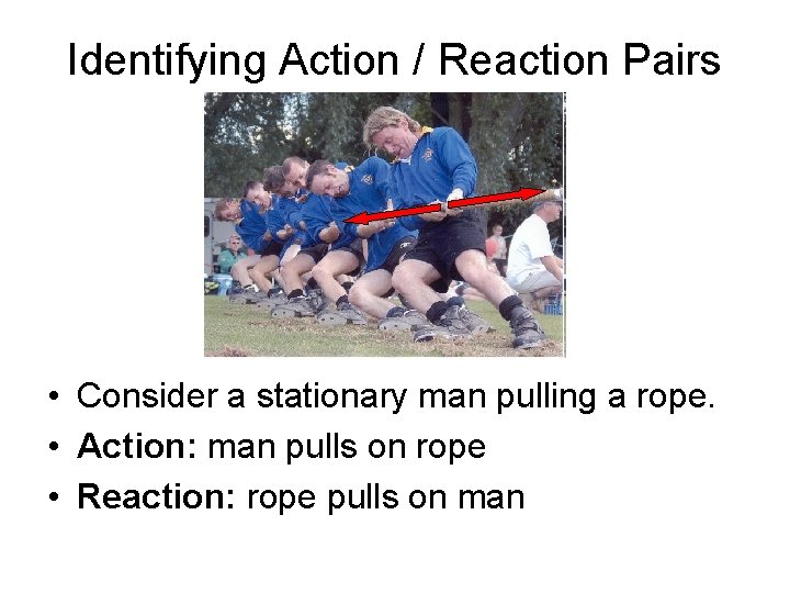 Identifying Action / Reaction Pairs • Consider a stationary man pulling a rope. •