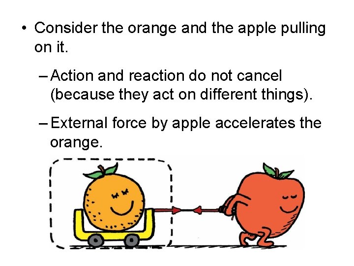  • Consider the orange and the apple pulling on it. – Action and