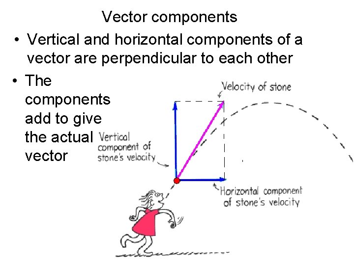 Vector components • Vertical and horizontal components of a vector are perpendicular to each