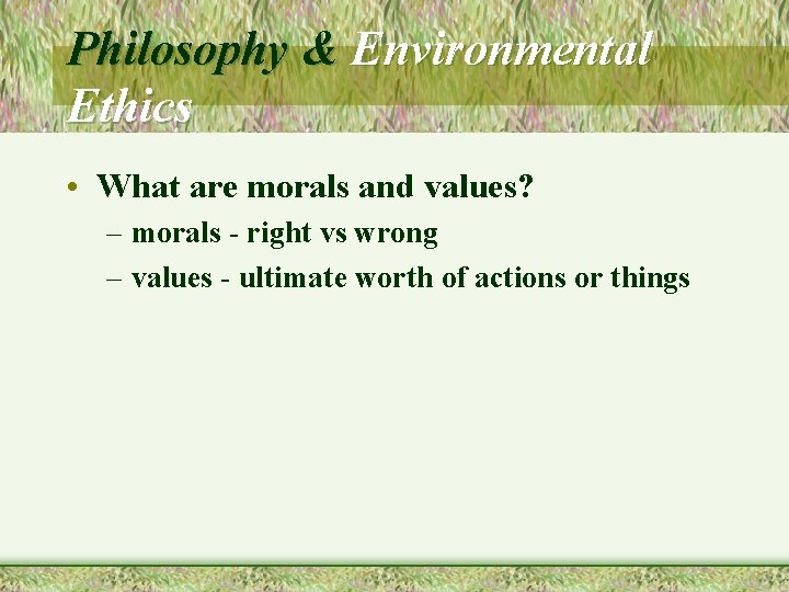 Philosophy & Environmental Ethics • What are morals and values? – morals - right