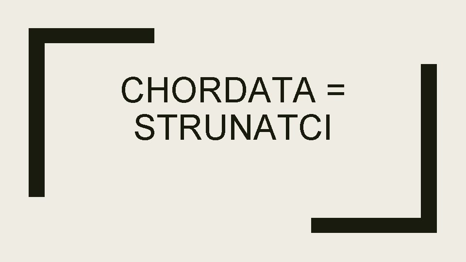 CHORDATA = STRUNATCI 