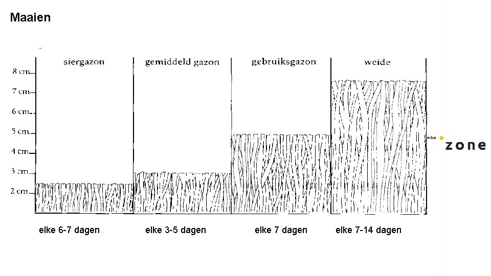 Maaien elke 6 -7 dagen elke 3 -5 dagen elke 7 -14 dagen 