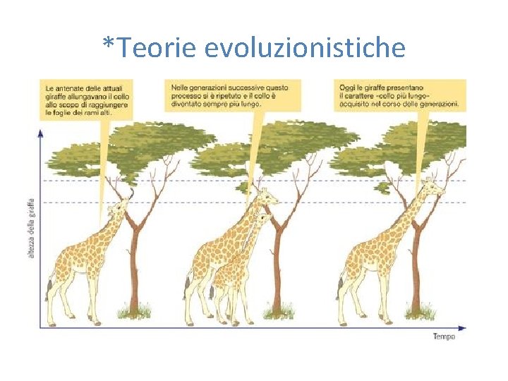 *Teorie evoluzionistiche 