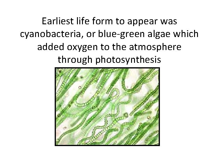 Earliest life form to appear was cyanobacteria, or blue-green algae which added oxygen to