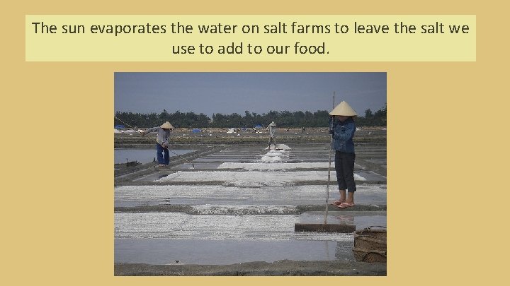 The sun evaporates the water on salt farms to leave the salt we use