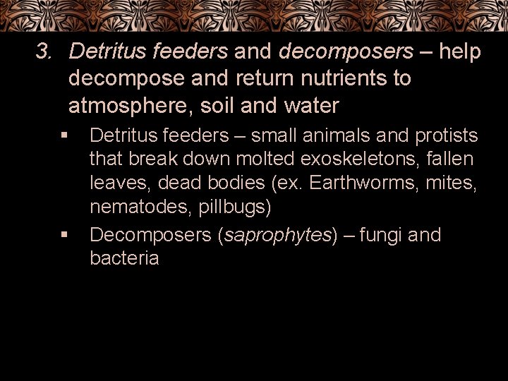 3. Detritus feeders and decomposers – help decompose and return nutrients to atmosphere, soil