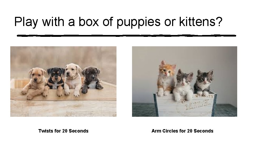 Play with a box of puppies or kittens? Twists for 20 Seconds Arm Circles