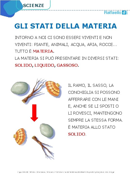 SCIENZE GLI STATI DELLA MATERIA INTORNO A NOI CI SONO ESSERI VIVENTI E NON