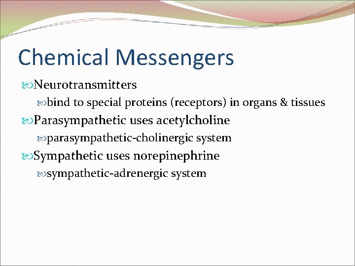 Chemical Messengers Neurotransmitters bind to special proteins (receptors) in organs & tissues Parasympathetic uses