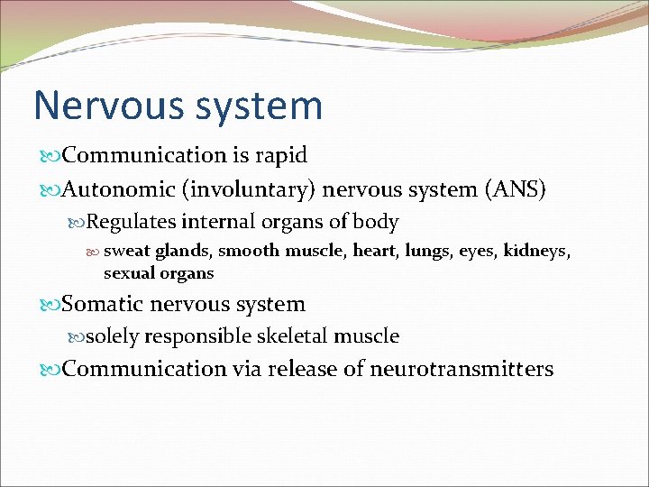 Nervous system Communication is rapid Autonomic (involuntary) nervous system (ANS) Regulates internal organs of