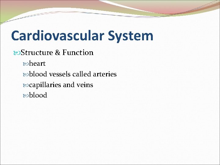 Cardiovascular System Structure & Function heart blood vessels called arteries capillaries and veins blood