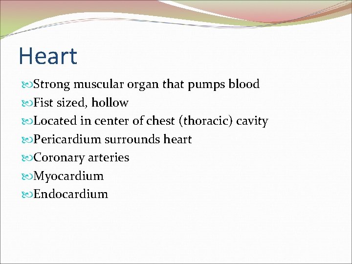 Heart Strong muscular organ that pumps blood Fist sized, hollow Located in center of