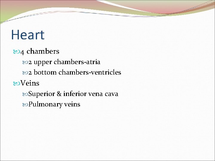Heart 4 chambers 2 upper chambers-atria 2 bottom chambers-ventricles Veins Superior & inferior vena