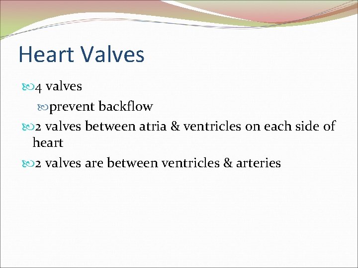 Heart Valves 4 valves prevent backflow 2 valves between atria & ventricles on each