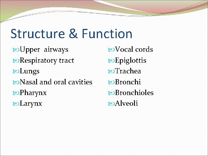 Structure & Function Upper airways Respiratory tract Lungs Nasal and oral cavities Pharynx Larynx
