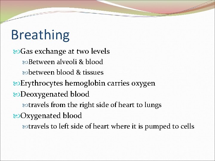 Breathing Gas exchange at two levels Between alveoli & blood between blood & tissues