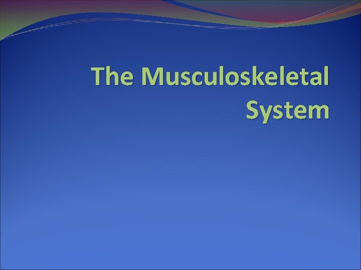 The Musculoskeletal System 