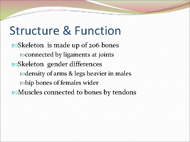 Structure & Function Skeleton is made up of 206 bones connected by ligaments at