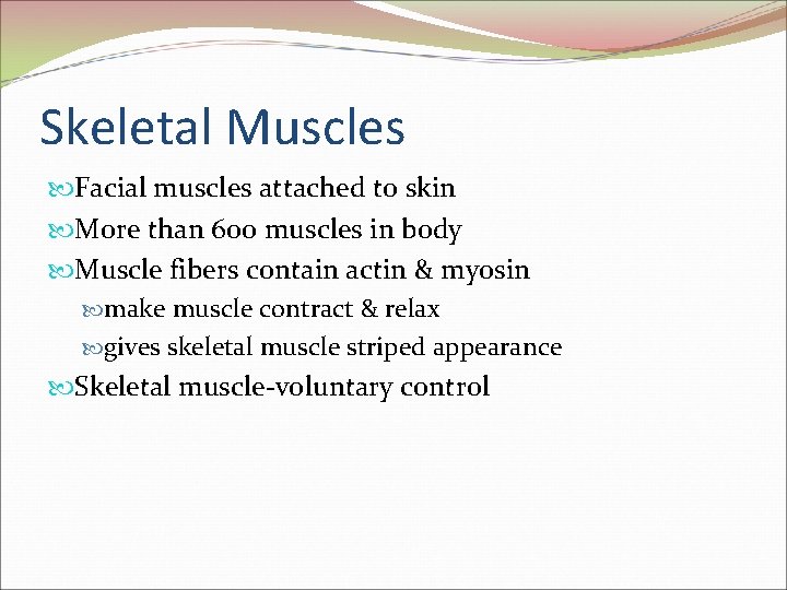 Skeletal Muscles Facial muscles attached to skin More than 600 muscles in body Muscle