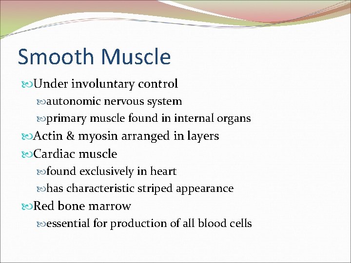 Smooth Muscle Under involuntary control autonomic nervous system primary muscle found in internal organs