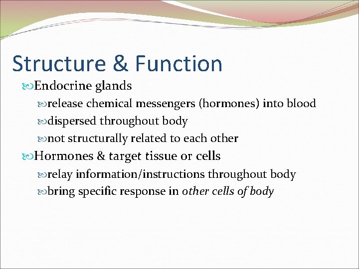 Structure & Function Endocrine glands release chemical messengers (hormones) into blood dispersed throughout body