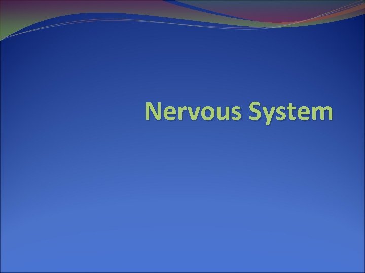 Nervous System 