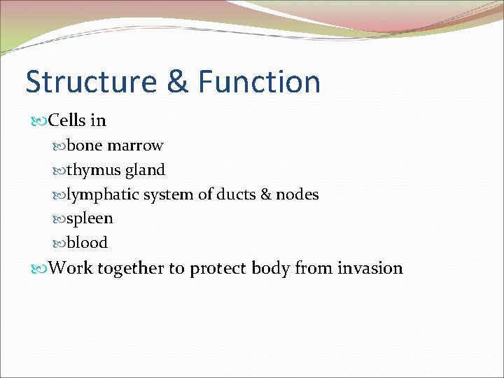 Structure & Function Cells in bone marrow thymus gland lymphatic system of ducts &