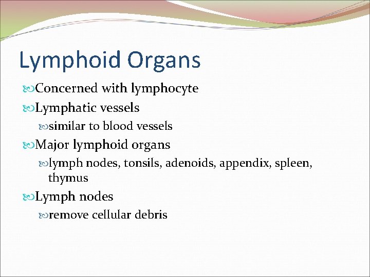 Lymphoid Organs Concerned with lymphocyte Lymphatic vessels similar to blood vessels Major lymphoid organs