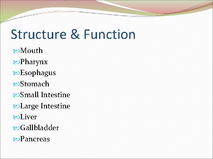 Structure & Function Mouth Pharynx Esophagus Stomach Small Intestine Large Intestine Liver Gallbladder Pancreas