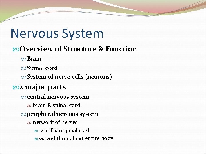 Nervous System Overview of Structure & Function Brain Spinal cord System of nerve cells