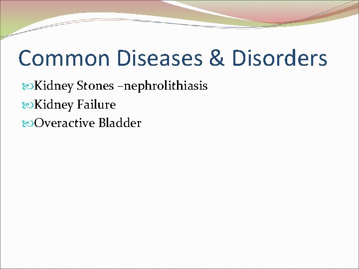 Common Diseases & Disorders Kidney Stones –nephrolithiasis Kidney Failure Overactive Bladder 