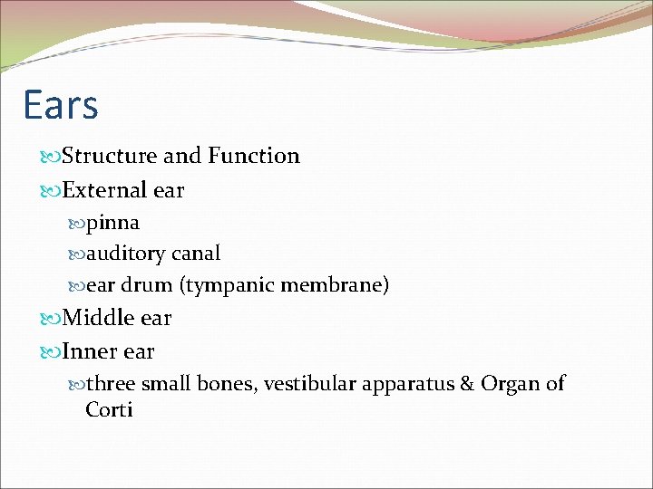 Ears Structure and Function External ear pinna auditory canal ear drum (tympanic membrane) Middle