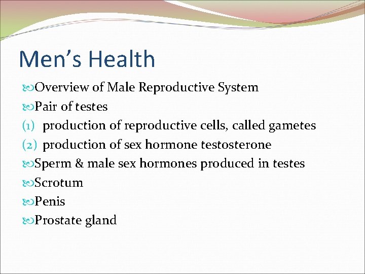 Men’s Health Overview of Male Reproductive System Pair of testes (1) production of reproductive