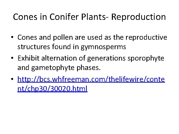 Cones in Conifer Plants- Reproduction • Cones and pollen are used as the reproductive