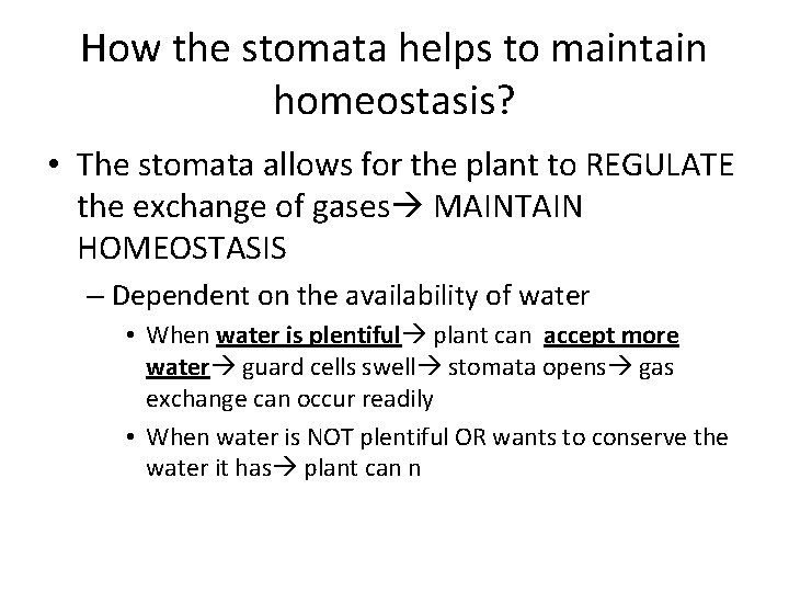 How the stomata helps to maintain homeostasis? • The stomata allows for the plant