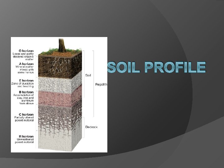 SOIL PROFILE 
