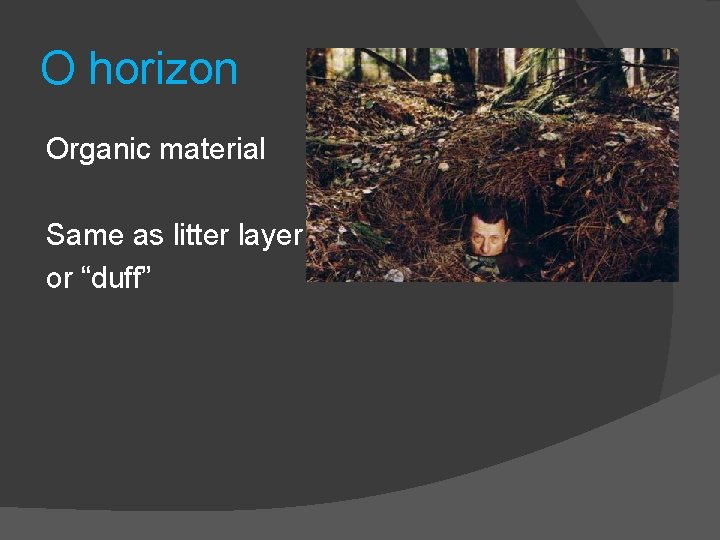 O horizon Organic material Same as litter layer or “duff” 