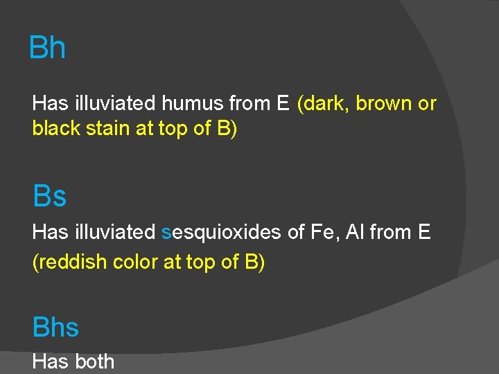 Bh Has illuviated humus from E (dark, brown or black stain at top of