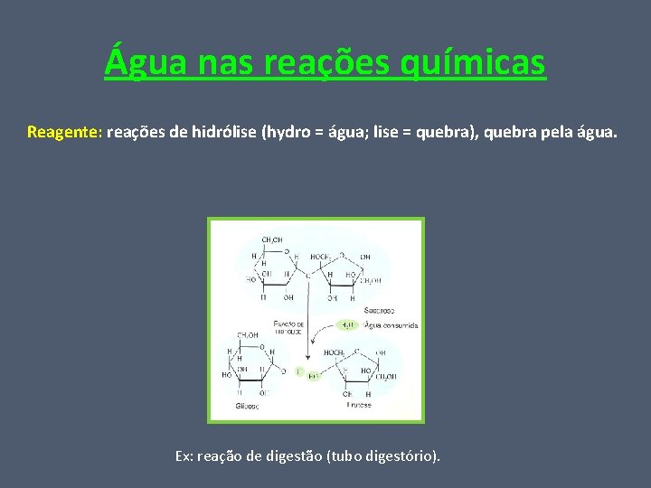 Água nas reações químicas Reagente: reações de hidrólise (hydro = água; lise = quebra),