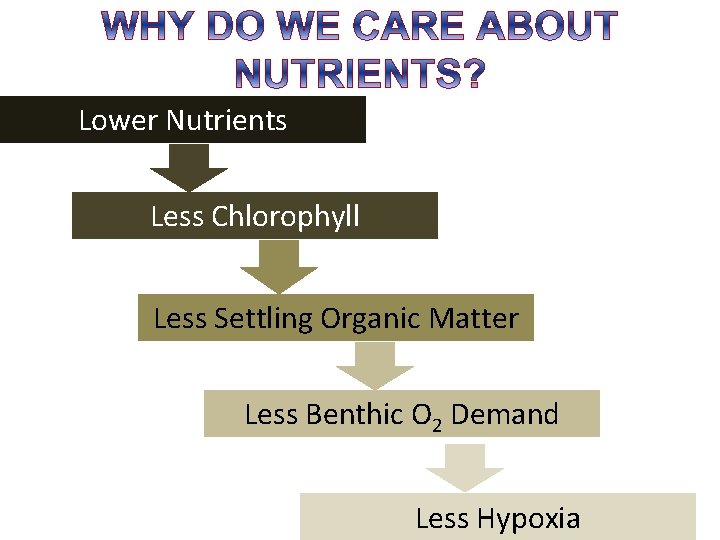 Lower Nutrients Less Chlorophyll Less Settling Organic Matter Less Benthic O 2 Demand Less