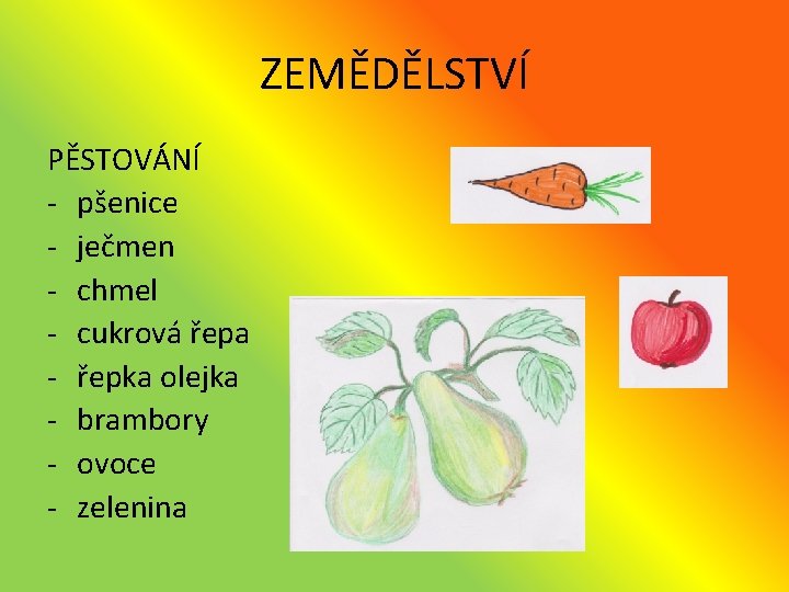 ZEMĚDĚLSTVÍ PĚSTOVÁNÍ - pšenice - ječmen - chmel - cukrová řepa - řepka olejka