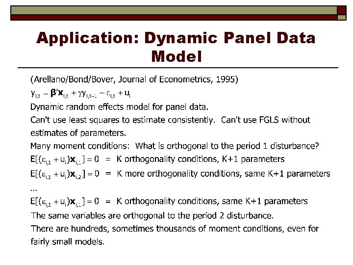 Application: Dynamic Panel Data Model 