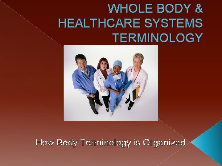 WHOLE BODY & HEALTHCARE SYSTEMS TERMINOLOGY How Body Terminology is Organized 