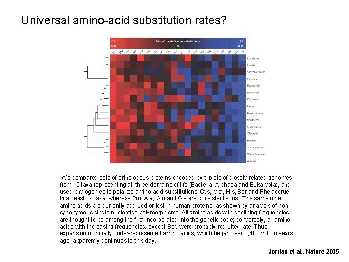 Universal amino-acid substitution rates? “We compared sets of orthologous proteins encoded by triplets of