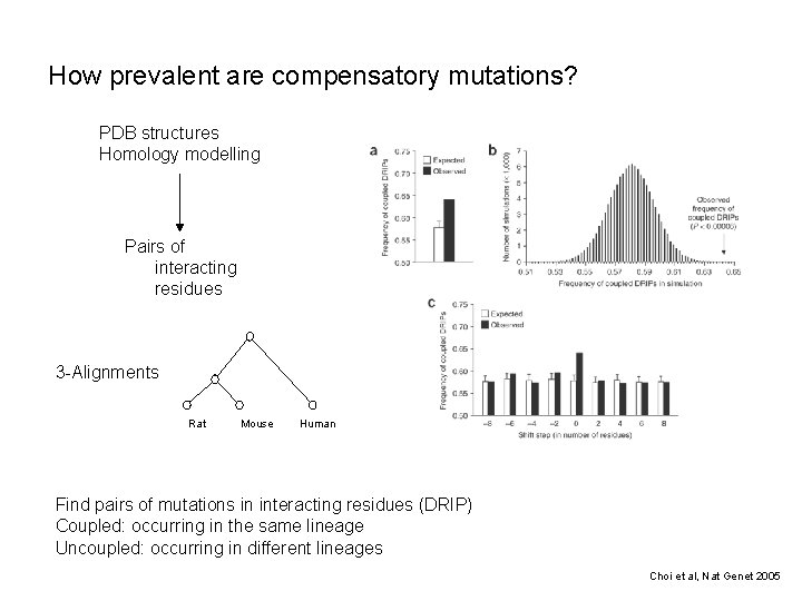 How prevalent are compensatory mutations? PDB structures Homology modelling Pairs of interacting residues 3