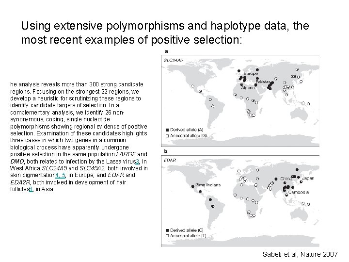 Using extensive polymorphisms and haplotype data, the most recent examples of positive selection: he