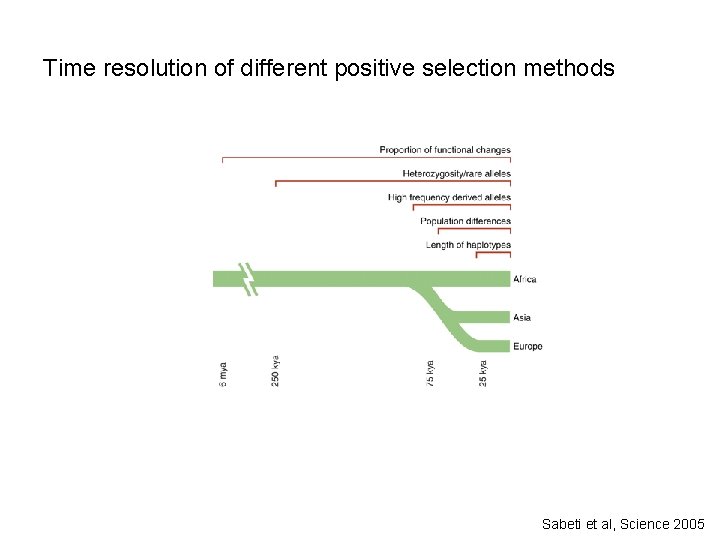 Time resolution of different positive selection methods Sabeti et al, Science 2005 