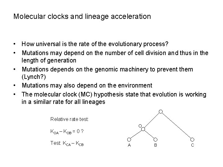 Molecular clocks and lineage acceleration • How universal is the rate of the evolutionary